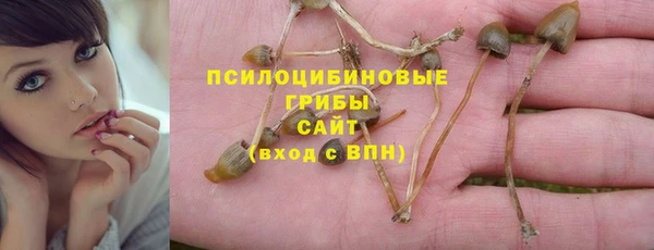 2c-b Балабаново